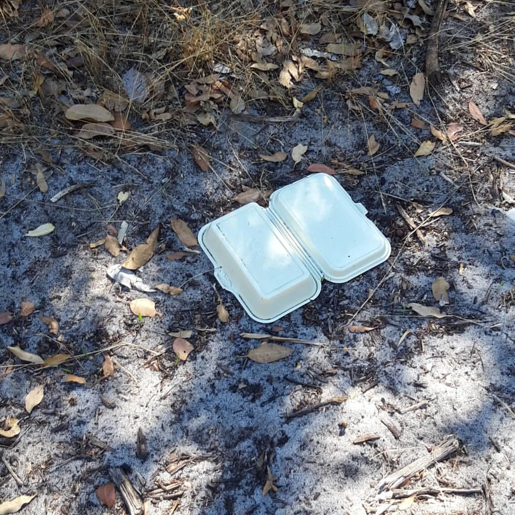 litter scattered in natural environment