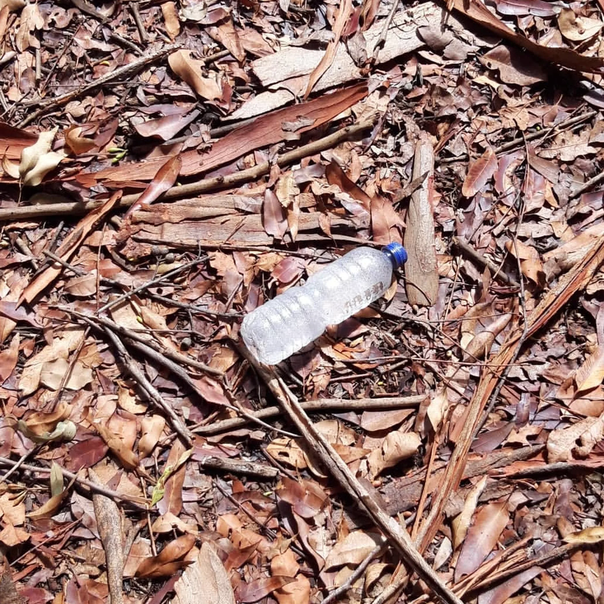 litter scattered in australian bushland