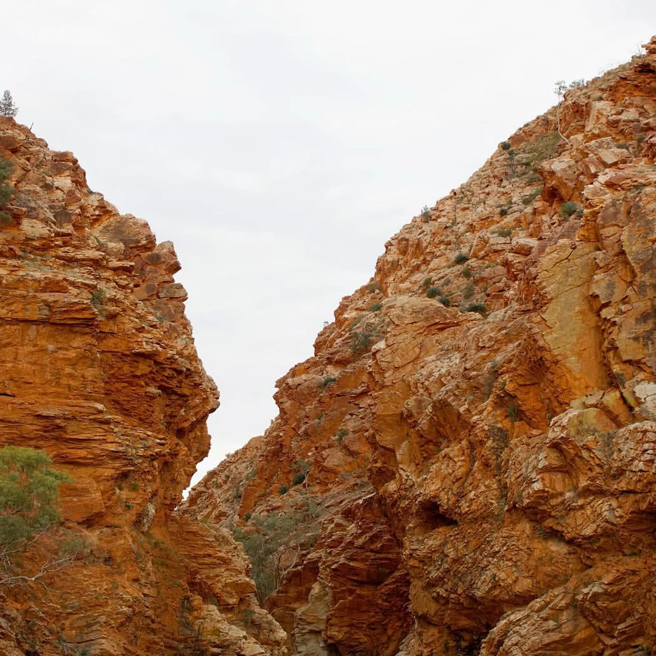 australian national park natural landscape