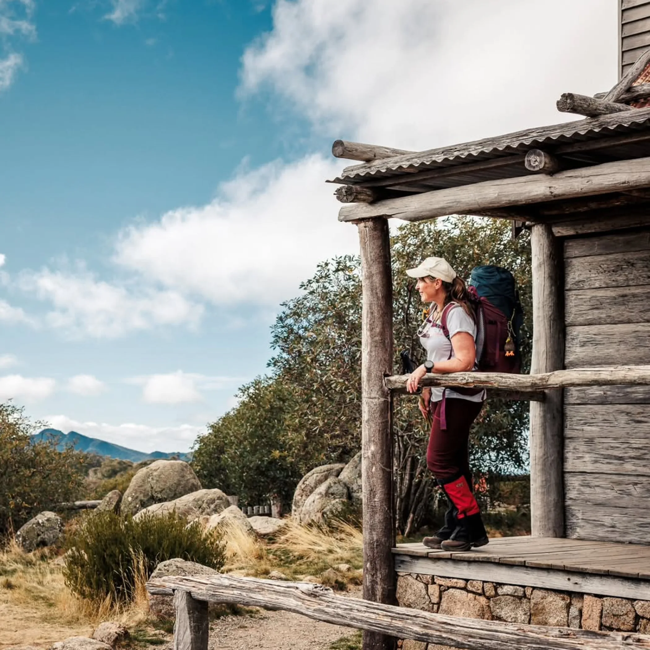 hikers walking on forest trail